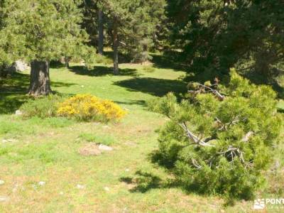 Valle de la Fuenfría - Peña Águila; federarse en montaña senderismo social agencias senderismo madri